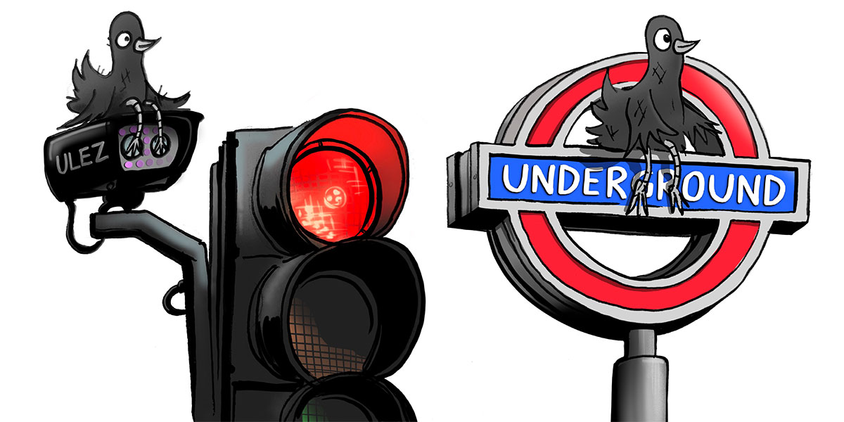 Skanky Pigeon Underground Pics